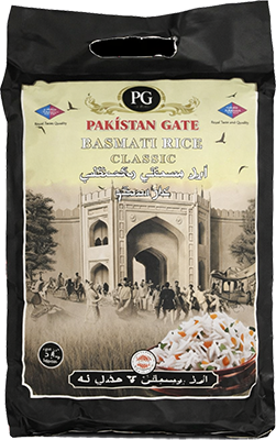 pakistan-gate1