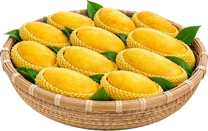 azeem-chaunsa-carousel