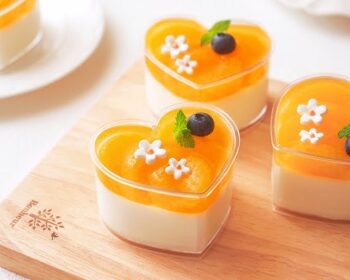 mandarin yoghurt pudding