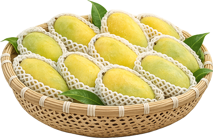 white-chausa-carousel